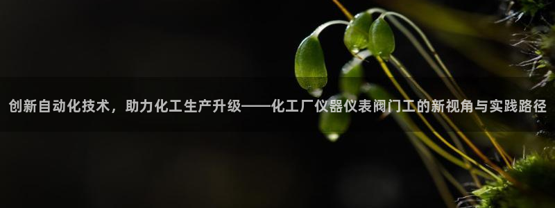 云顶国际平台游戏app