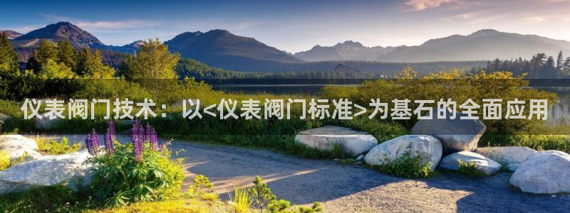 云顶国际app是什么软件
