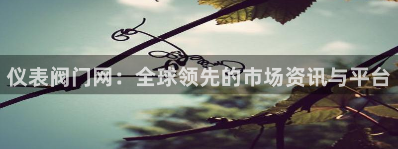 云顶国际部一年学费