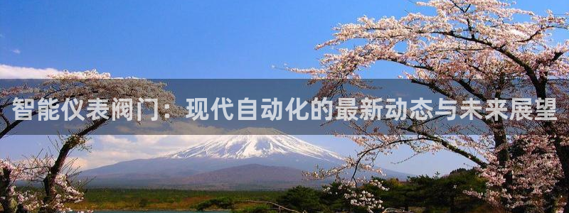 手游云顶国际服更新