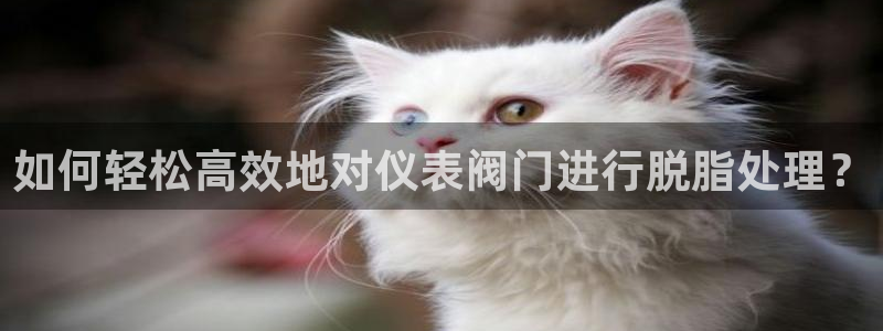 云顶国际服什么时候更新s108