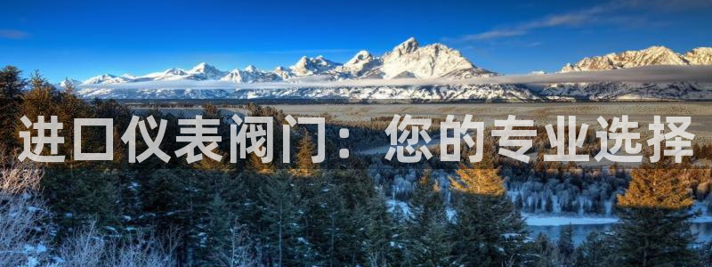 云顶国际集团发展有限公司国内项目总经理