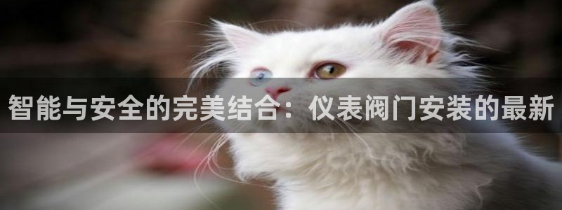 云顶集团3118app功能