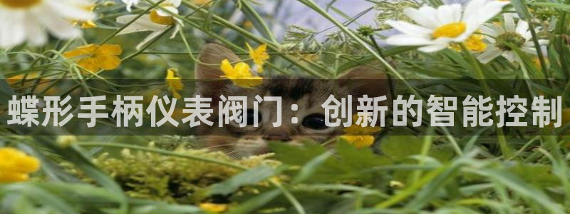 云顶国际app免费下载安卓