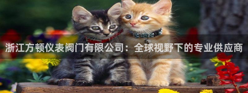 云顶国际足球app下载