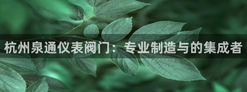 云顶国际平台游戏app