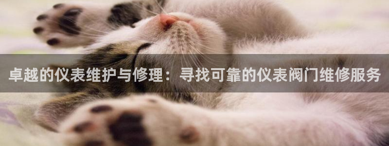 云顶国际平台送彩金58