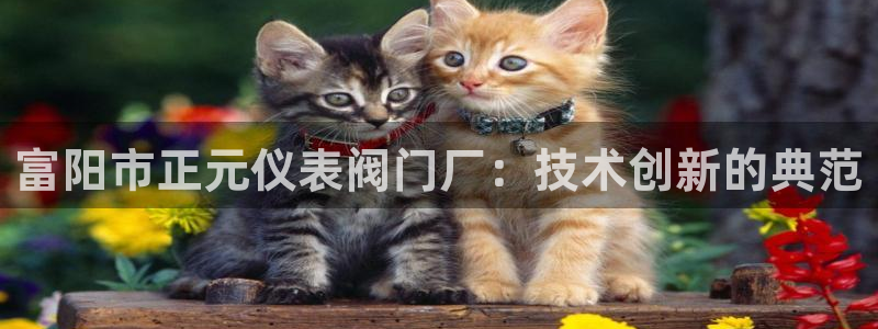 云顶国际账号怎么登录不了了