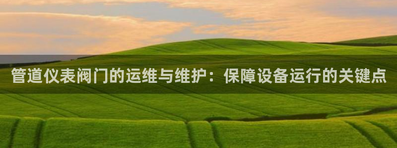 云顶国际公馆户型图