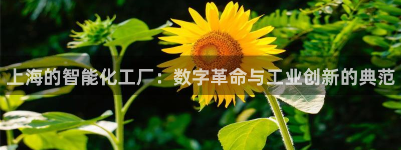 云顶zhi