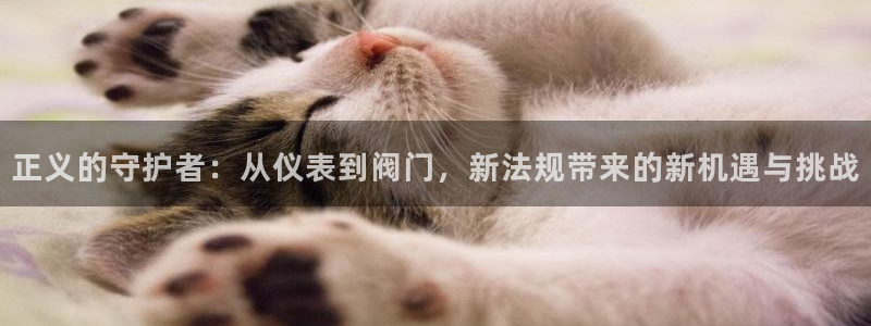 云顶国际房地产有限公司