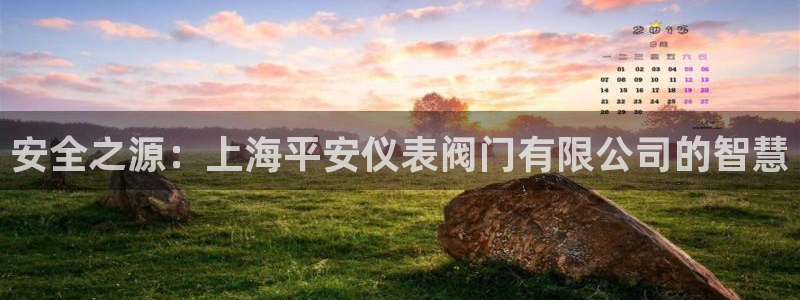 云顶集团有限公司简介