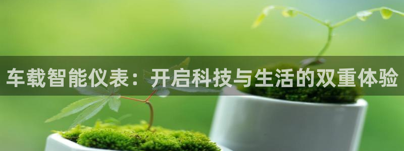 云顶国际app手机版下载