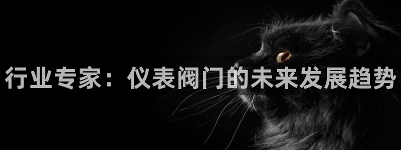 云顶国际酒店位置地图