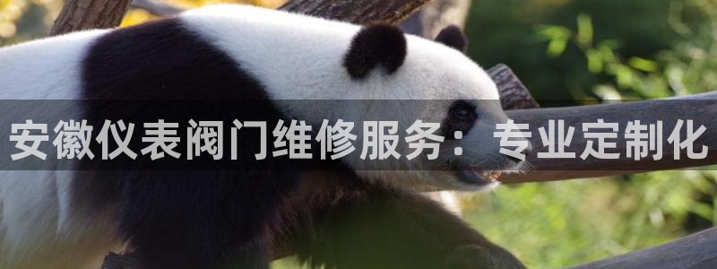 云顶国际集团游戏