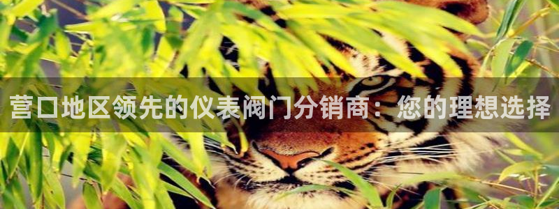 云顶集团市值
