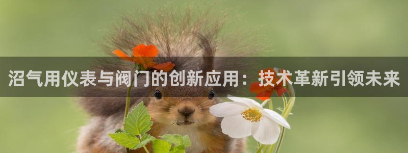 云顶国际大酒店位于