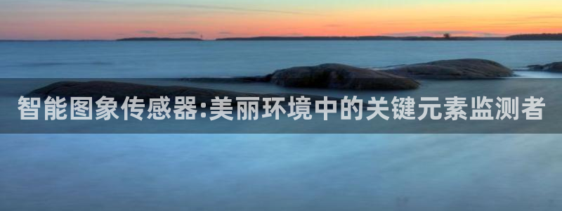 云顶国际服叫什么