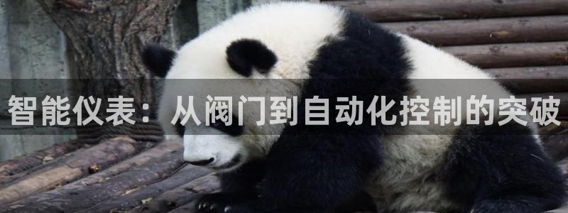 云顶集团老板是谁