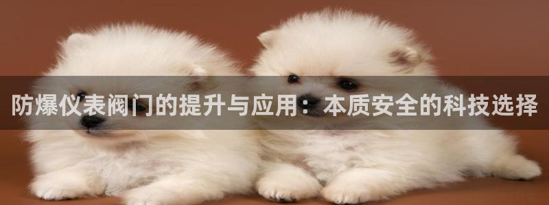 云顶国际滑雪度假小镇