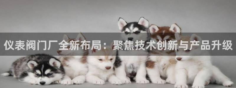 云顶集团简介资料