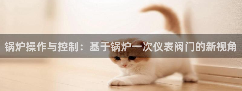 云顶国际app是什么
