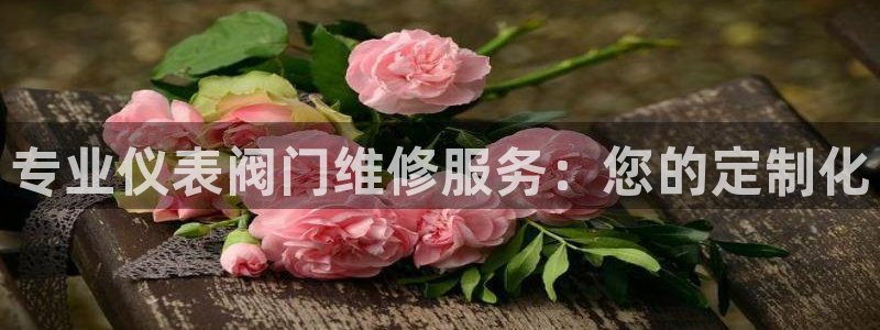 云顶国际电子游戏官网