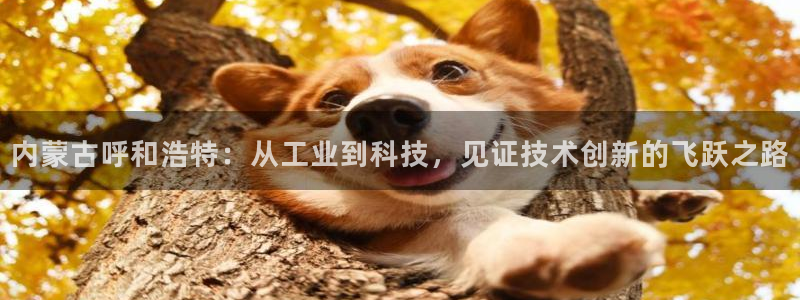 云顶集团在哪