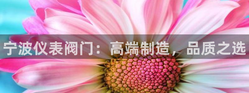 云顶国际投资有限公司招聘