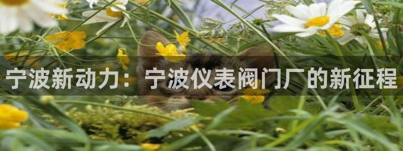 云顶国际注册送25