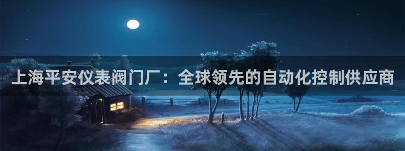 云顶国际是什么公司