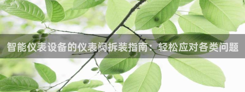 云顶国际服什么时候更新s10