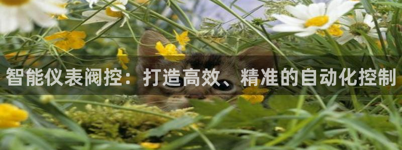 云顶国际ktv会所怎么样