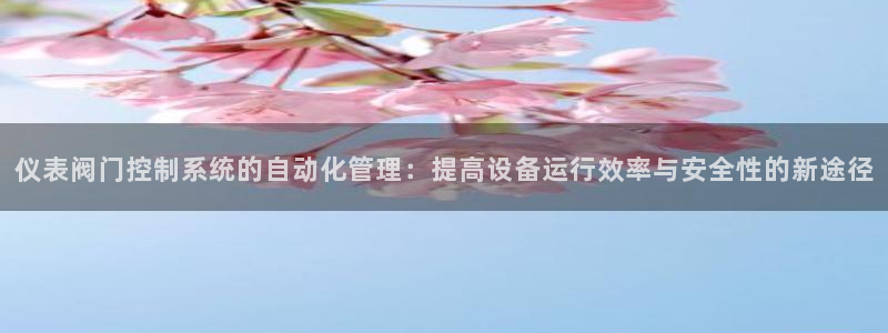 云顶国际77026