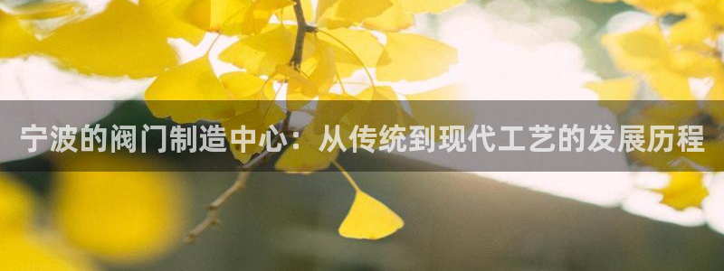 云顶国际版下载