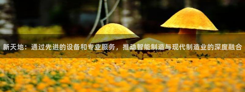 云顶集团有限公司