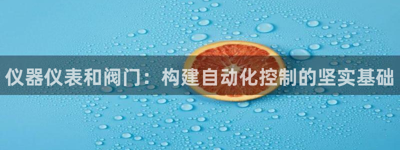 云顶集团网投领