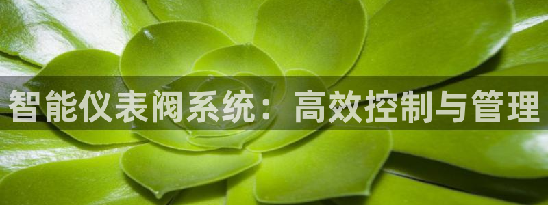 云顶集团有限公司是国企吗