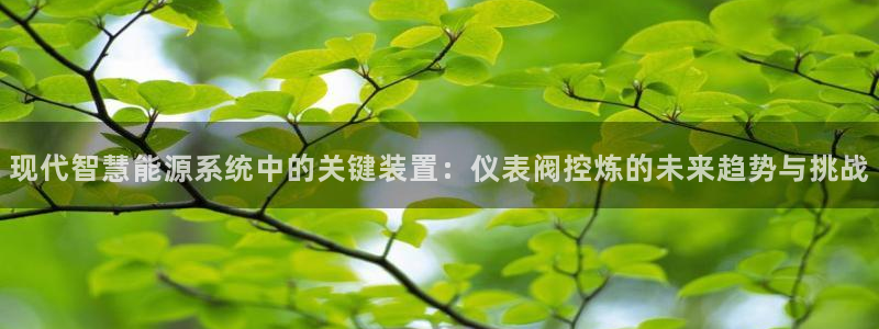 云顶集团游戏app网页版