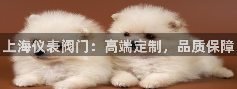 云顶国际--行业领导品牌