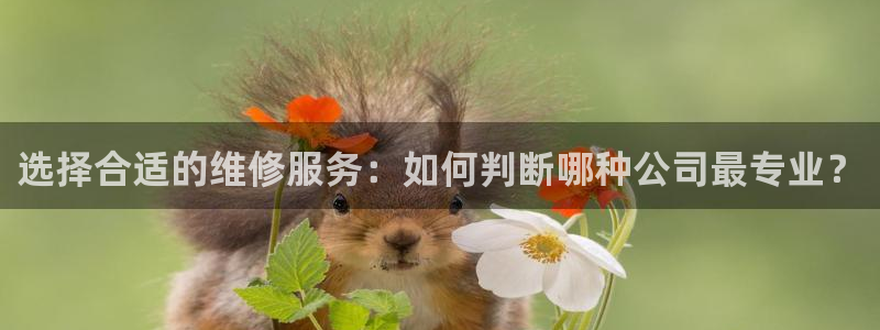 云顶注册送38的网站