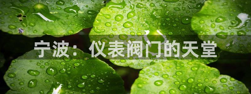 云顶国际测试服免费吗