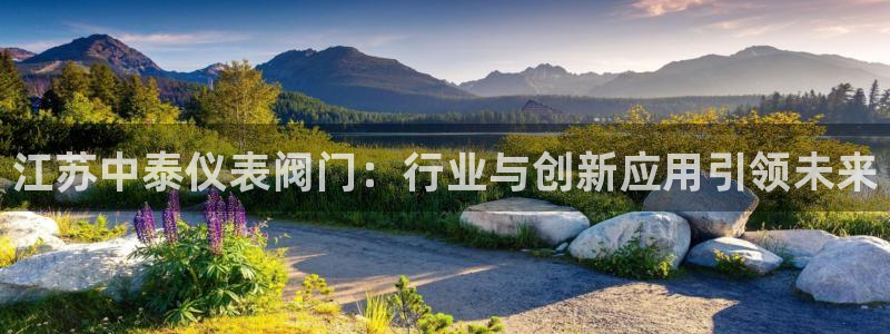 云顶国际服怎么登陆