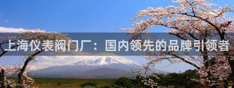 云顶国际服下载