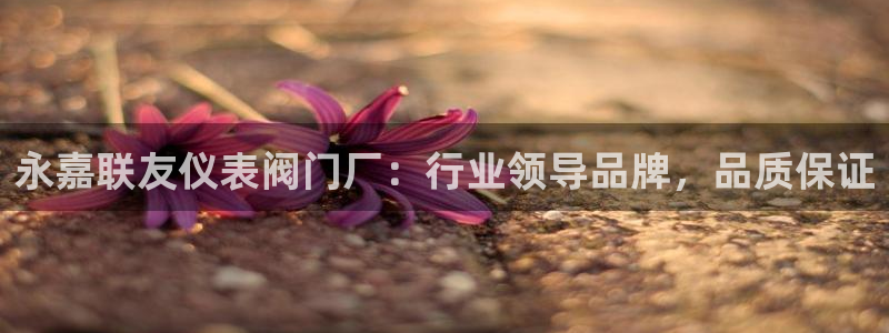 手游云顶国际服下载