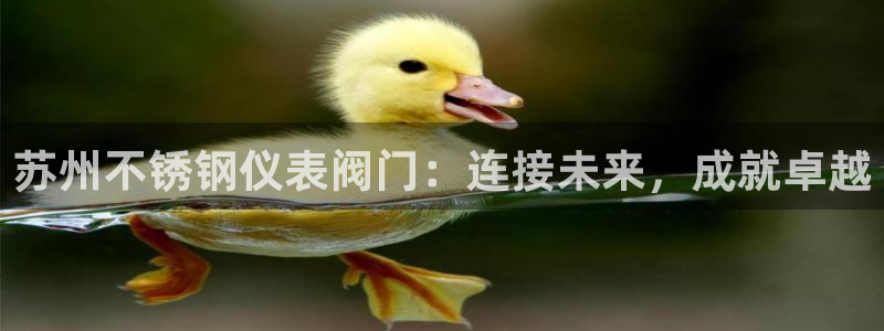 云顶集团中国区执行总裁是谁