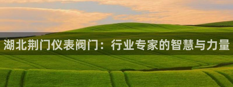 云顶国际账号怎么登录不了了