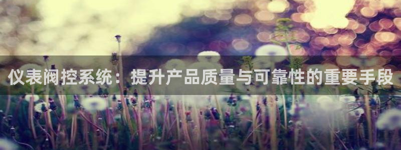 云顶集团最新官方网站入口