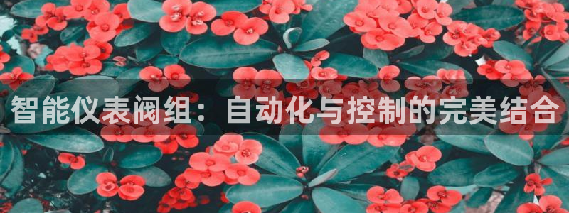 云顶国际创始人是谁呀