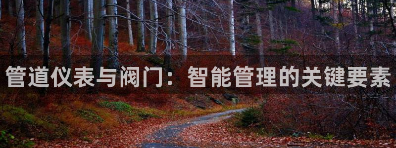 云顶国际官方网站下载安装